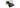 PNY GeForce RTX 5080 SLIM 16 GB Dual Fan DLSS4