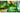 Nintendo Yoshi's Crafted World