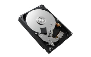 Dell Harddisk 400-AUPW 3.5 SATA 1 TB